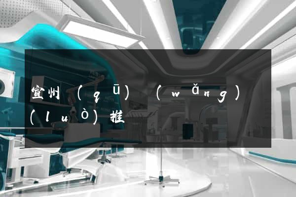 宣州區(qū)網(wǎng)絡(luò)推廣