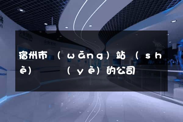 宿州市網(wǎng)站設(shè)計專業(yè)的公司