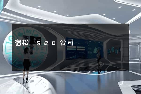 宿松縣seo公司