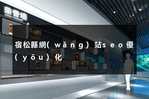 宿松縣網(wǎng)站seo優(yōu)化