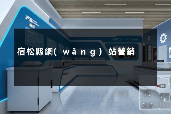 宿松縣網(wǎng)站營銷
