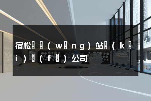 宿松縣網(wǎng)站開(kāi)發(fā)公司