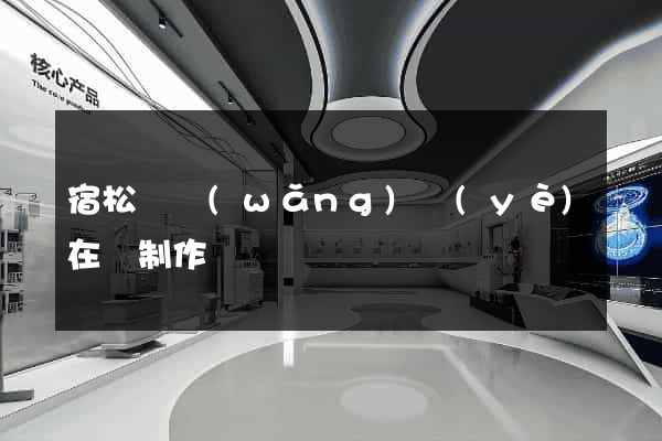 宿松縣網(wǎng)頁(yè)在線制作