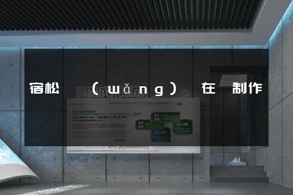 宿松縣網(wǎng)頁在線制作