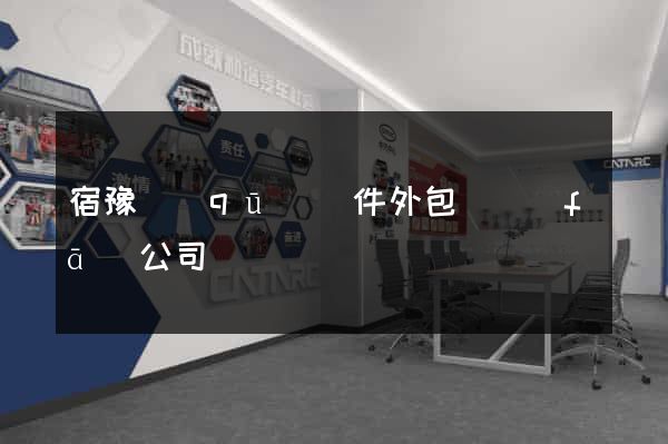 宿豫區(qū)軟件外包開發(fā)公司
