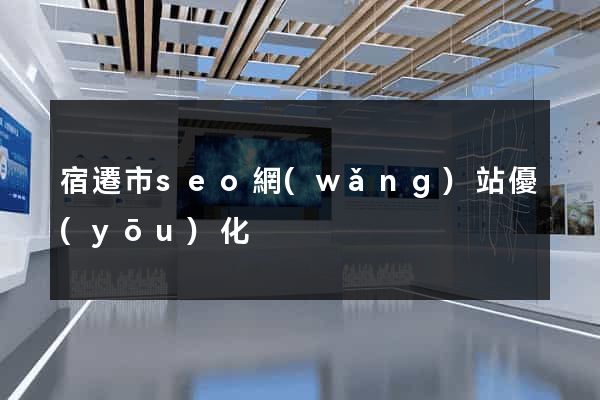 宿遷市seo網(wǎng)站優(yōu)化