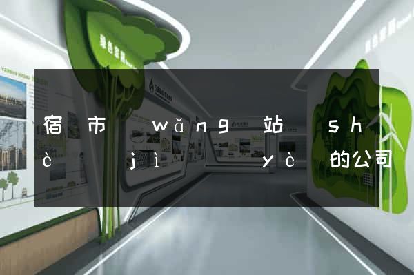 宿遷市網(wǎng)站設(shè)計(jì)專業(yè)的公司
