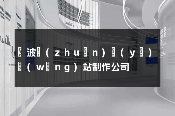 寧波專(zhuān)業(yè)網(wǎng)站制作公司