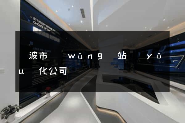 寧波市網(wǎng)站優(yōu)化公司
