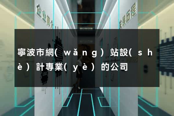 寧波市網(wǎng)站設(shè)計專業(yè)的公司
