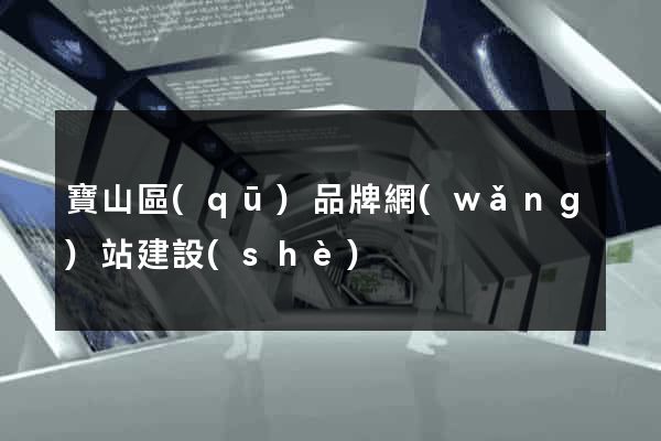 寶山區(qū)品牌網(wǎng)站建設(shè)