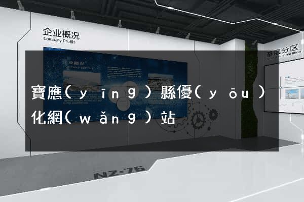 寶應(yīng)縣優(yōu)化網(wǎng)站