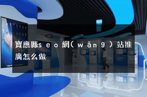 寶應縣seo網(wǎng)站推廣怎么做