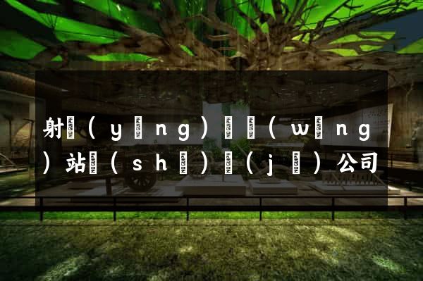 射陽(yáng)縣網(wǎng)站設(shè)計(jì)公司