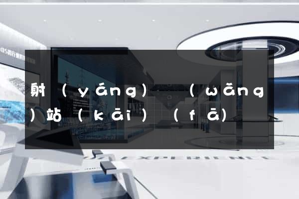 射陽(yáng)縣網(wǎng)站開(kāi)發(fā)