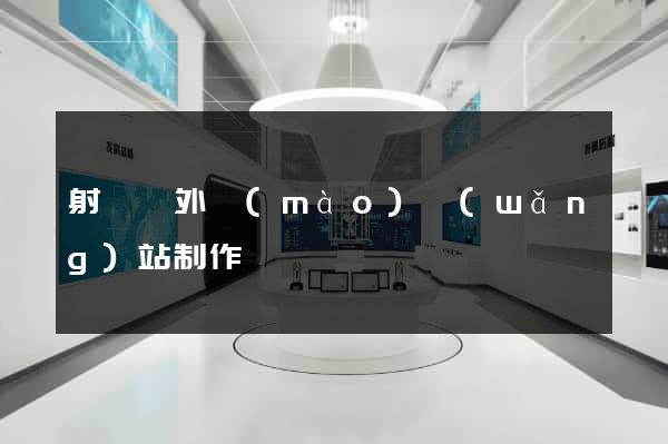 射陽縣外貿(mào)網(wǎng)站制作