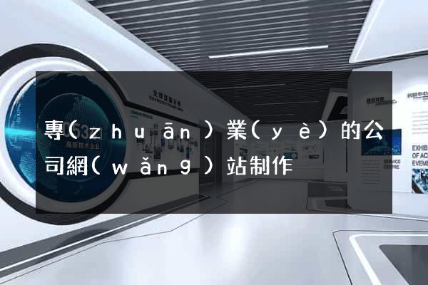 專(zhuān)業(yè)的公司網(wǎng)站制作