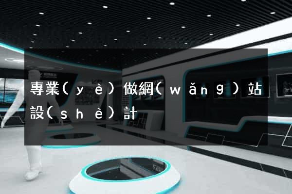 專業(yè)做網(wǎng)站設(shè)計