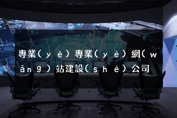 專業(yè)專業(yè)網(wǎng)站建設(shè)公司