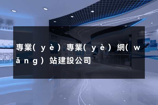 專業(yè)專業(yè)網(wǎng)站建設公司