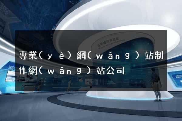 專業(yè)網(wǎng)站制作網(wǎng)站公司