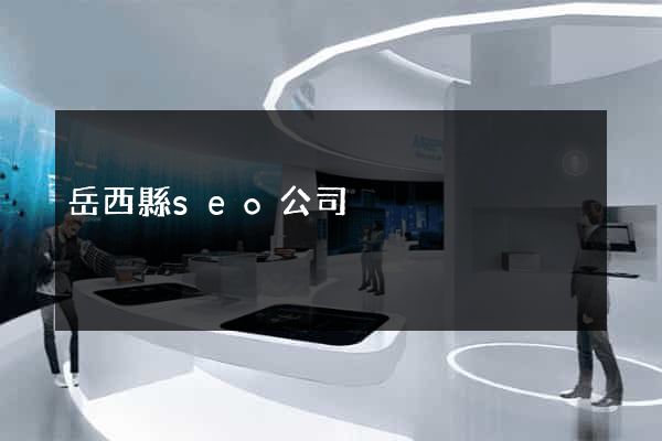 岳西縣seo公司