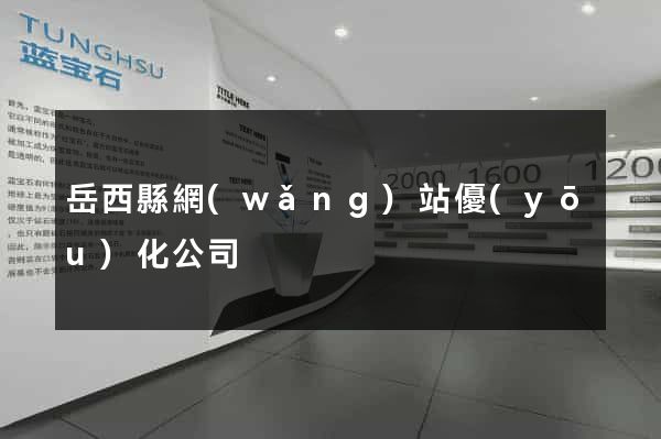 岳西縣網(wǎng)站優(yōu)化公司