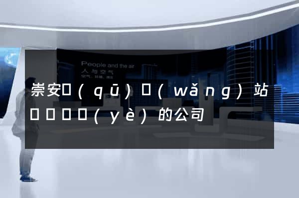 崇安區(qū)網(wǎng)站設計專業(yè)的公司