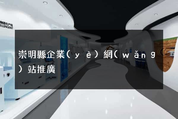 崇明縣企業(yè)網(wǎng)站推廣