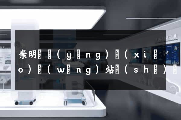 崇明縣營(yíng)銷(xiāo)網(wǎng)站設(shè)計(jì)