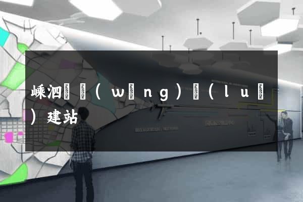 嵊泗縣網(wǎng)絡(luò)建站