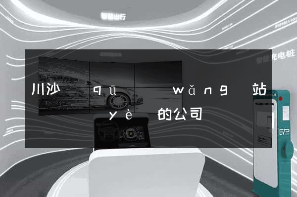 川沙區(qū)網(wǎng)站設計專業(yè)的公司