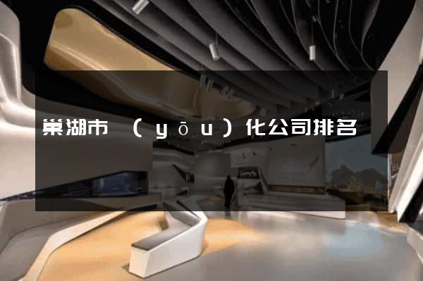 巢湖市優(yōu)化公司排名