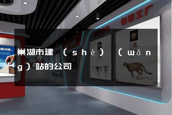 巢湖市建設(shè)網(wǎng)站的公司