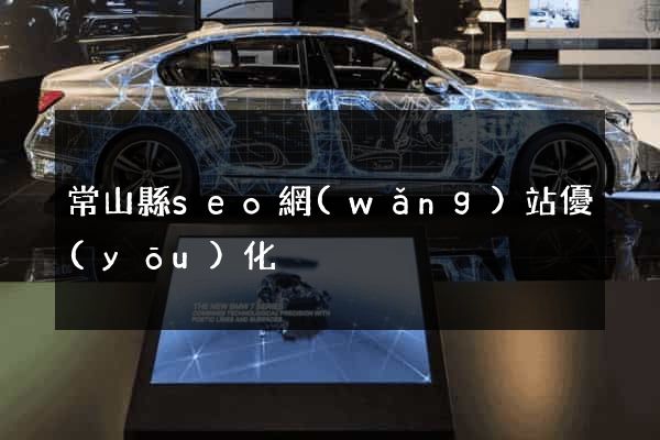 常山縣seo網(wǎng)站優(yōu)化