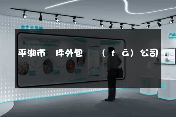 平湖市軟件外包開發(fā)公司