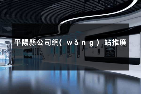 平陽縣公司網(wǎng)站推廣