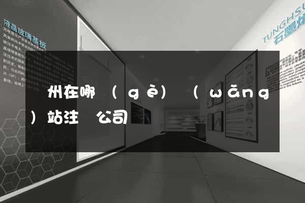廣州在哪個(gè)網(wǎng)站注冊公司