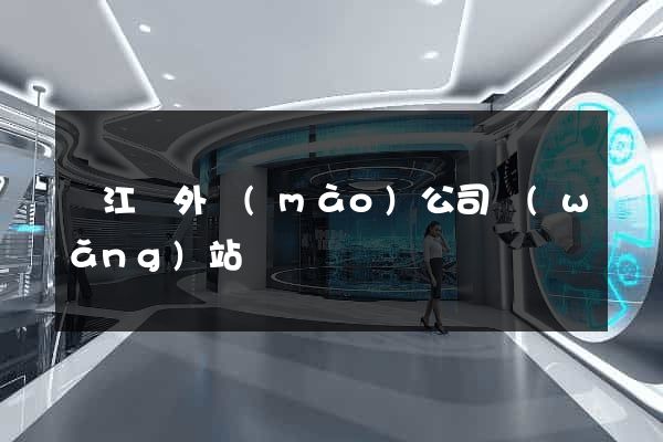 廬江縣外貿(mào)公司網(wǎng)站