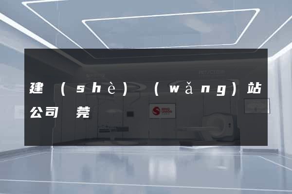 建設(shè)網(wǎng)站公司東莞
