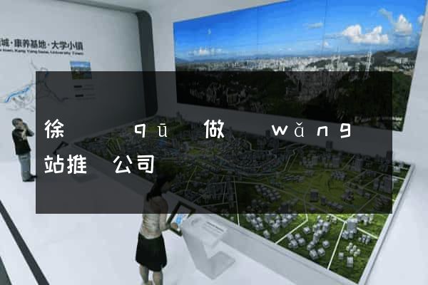 徐匯區(qū)做網(wǎng)站推廣公司