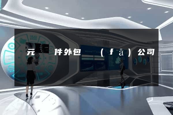 慶元縣軟件外包開發(fā)公司