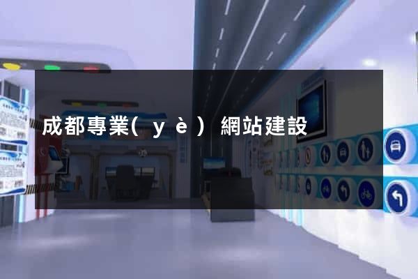 成都專業(yè)網站建設
