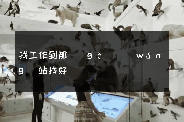 找工作到那個(gè)網(wǎng)站找好