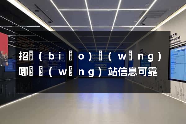招標(biāo)網(wǎng)哪個網(wǎng)站信息可靠