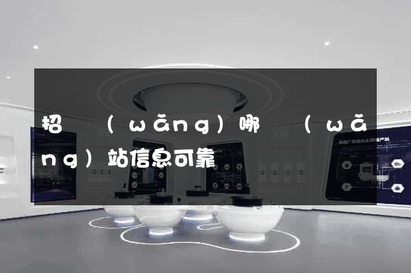 招標網(wǎng)哪個網(wǎng)站信息可靠