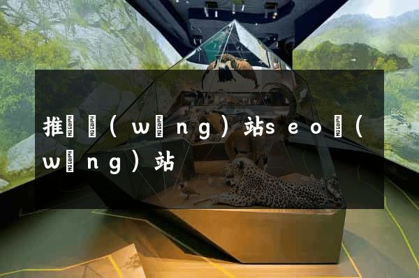 推廣網(wǎng)站seo網(wǎng)站