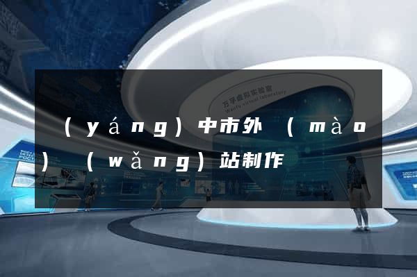 揚(yáng)中市外貿(mào)網(wǎng)站制作