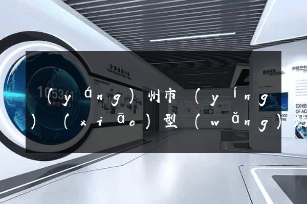 揚(yáng)州市營(yíng)銷(xiāo)型網(wǎng)站建設(shè)