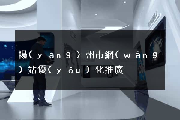 揚(yáng)州市網(wǎng)站優(yōu)化推廣